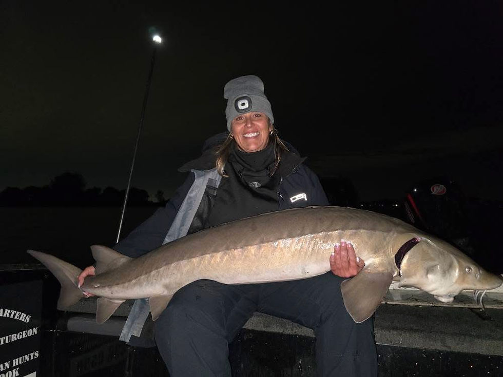 Thumbnail: 🚨SOLD OUT 🚨 Michigan Sturgeon 