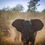 Thumbnail: 2027 South Africa Waitlist 