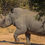Thumbnail: 2027 South Africa Waitlist 
