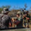 Thumbnail: 2027 South Africa Waitlist 