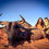 Thumbnail: 2027 South Africa Waitlist 