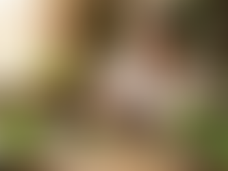 A Black woman herbalist in a white shirt working at a rustic wooden table, grinding herbs with a stone mortar and pestle in a warm, apothecary-style kitchen filled with jars and dried plants. Soultribe Media sign logo