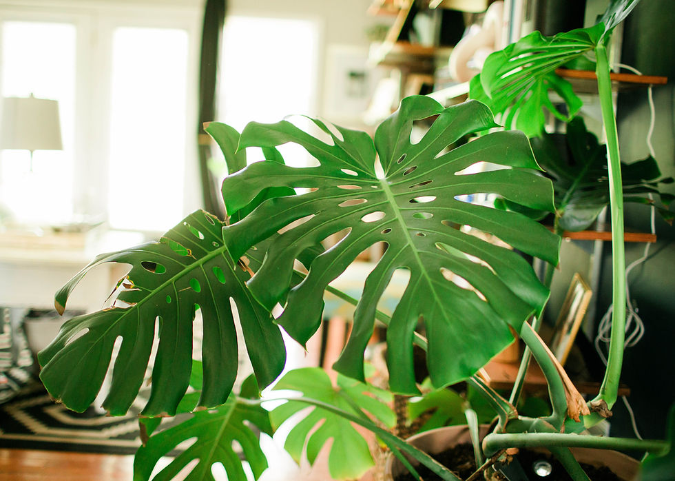 Financial Resilience Spiritual Growth: How to Overcome Financial Challenges & Rise Stronger