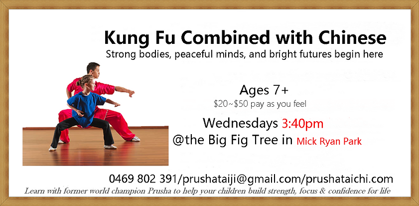 Transform your teen with Chinese Martial Arts.png