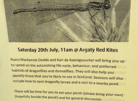 Argaty Red Kite Centre