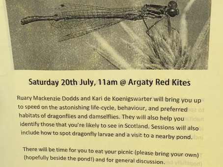 Argaty Red Kite Centre