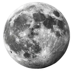 Design-sans-titre-_1_ (1)_edited.png