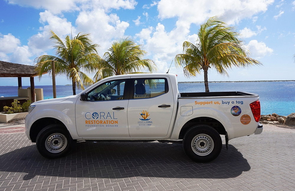 Bonaire, XpBonaire, news Information, Coral resoration, Funding, Dutch Government