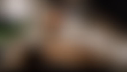 Grand Windsock Ocean Club — Fresh Menu, Local Flavors