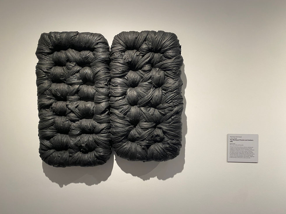 Harmony Hammond - The Meeting of Passion and Intellect, 1981