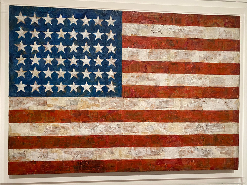 Jasper Johns - Flag, 1954