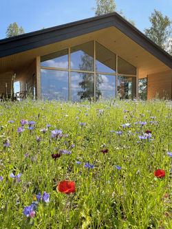 honka-huuskonniemi-honkafamily-vista-exterior-photo-hannaluukkonen-1000-02