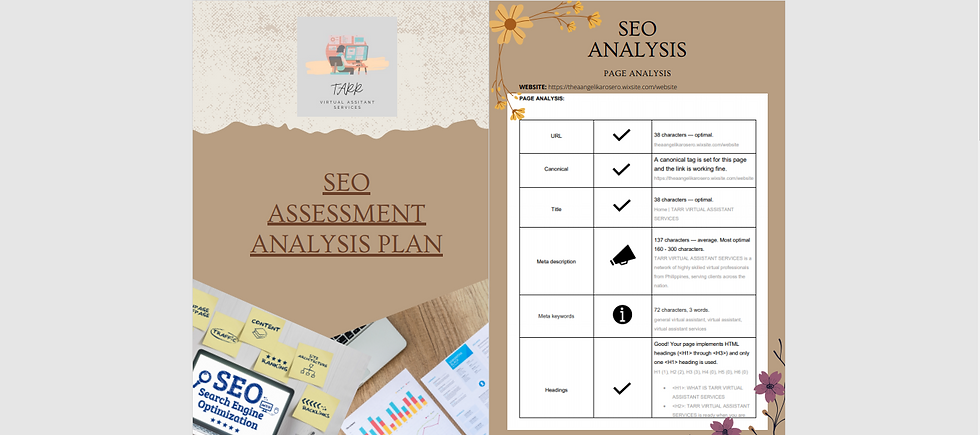SEO ASSESSMENT ANALYSIS PLAN