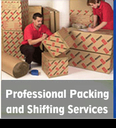 PROFESSIONAL PACKING