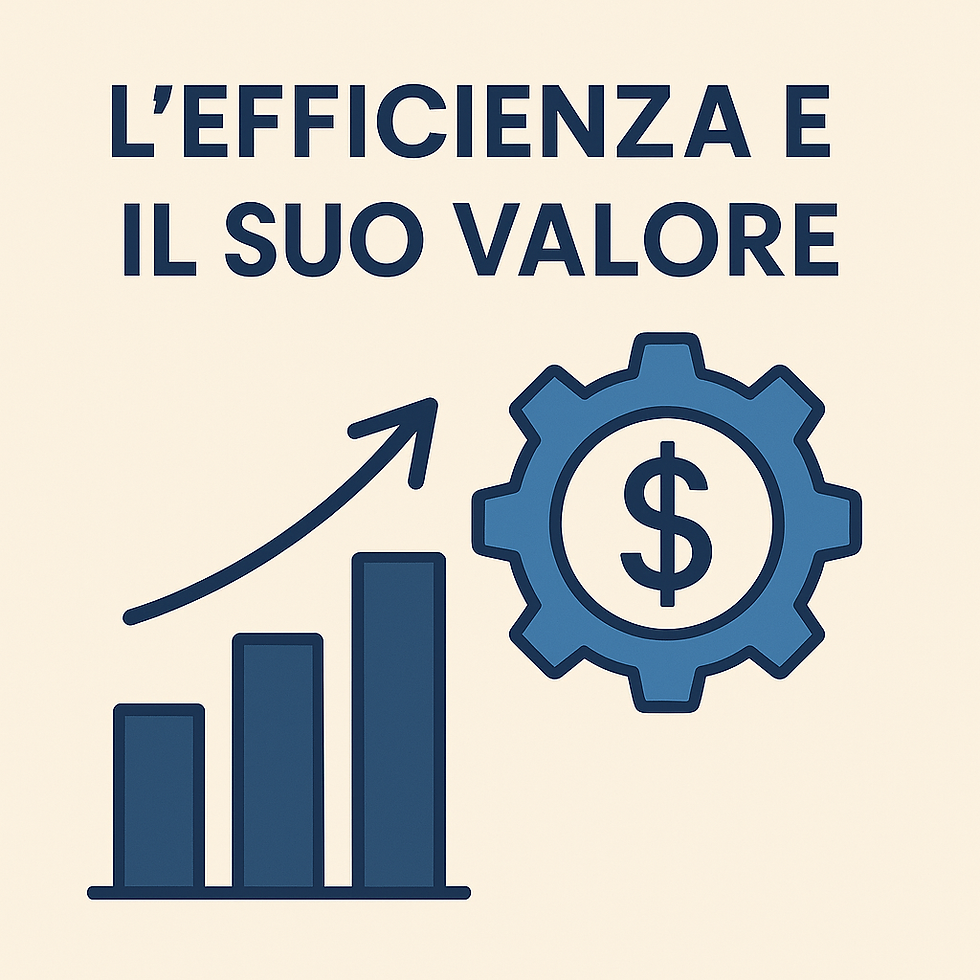 L'efficienza e il suo valore.