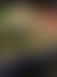 盛宴之流:在味蕾與時光之間綻放的饗宴長篇