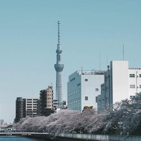 How to Rent a House or Apartment in Japan: A Guide for Foreigners