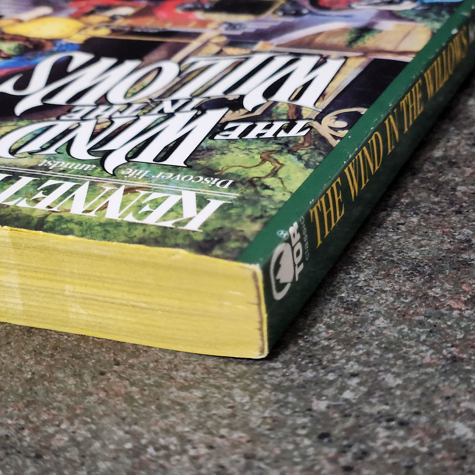 Thumbnail: The Wind In The Willows Kenneth Grahame Vintage 1989 TOR Paperback