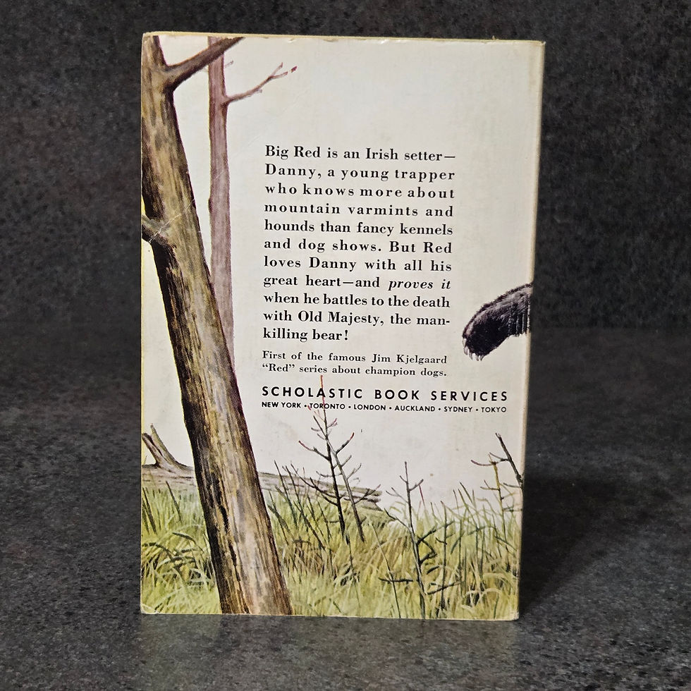 Thumbnail: Big Red Jim Kjelgaard Vintage 1972 Paperback