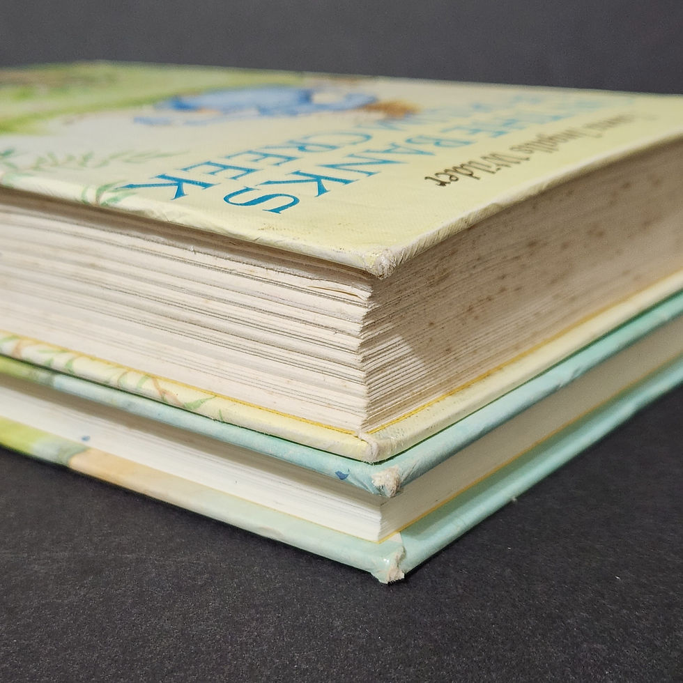 Thumbnail: On The Banks Of Plum Creek/First Four Years Laura Ingalls Wilder HC Set Of 2