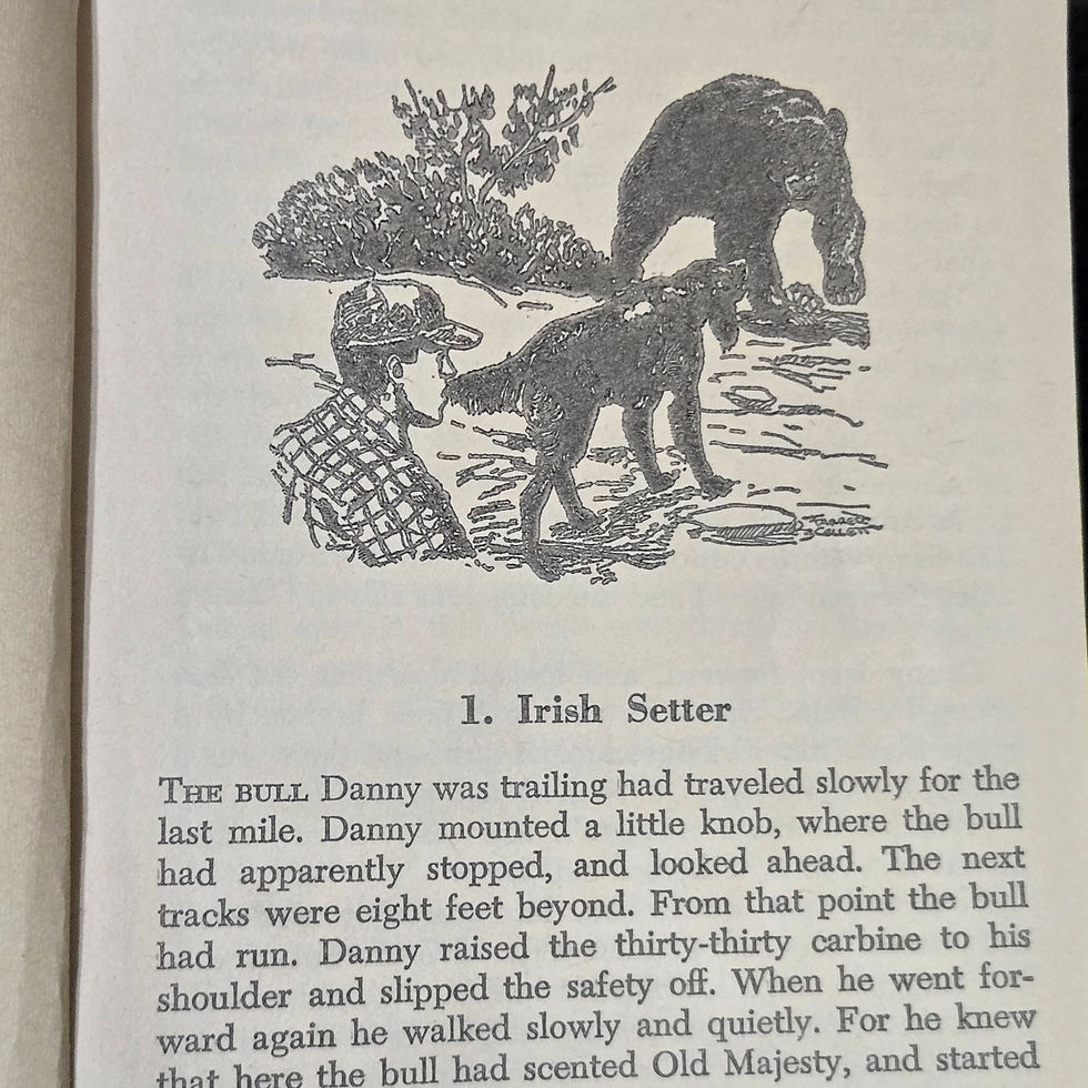 Thumbnail: Big Red Jim Kjelgaard Vintage 1972 Paperback