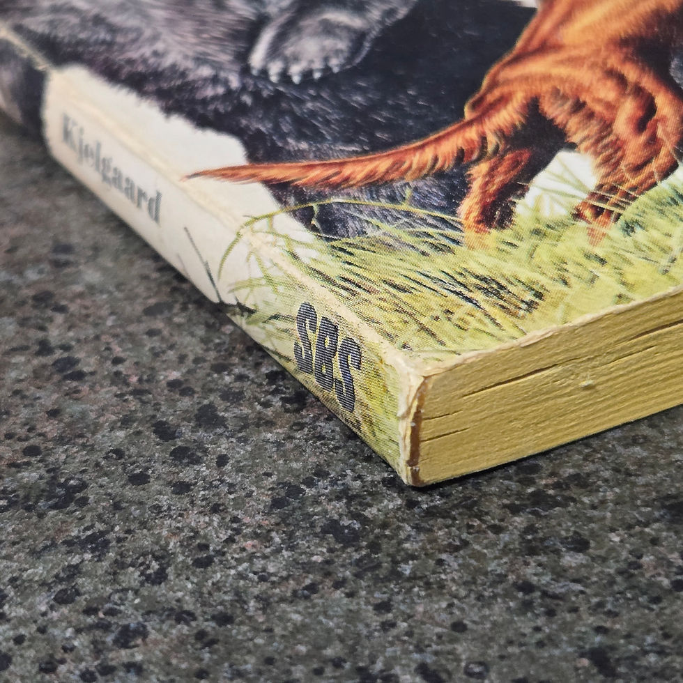 Thumbnail: Big Red Jim Kjelgaard Vintage 1972 Paperback
