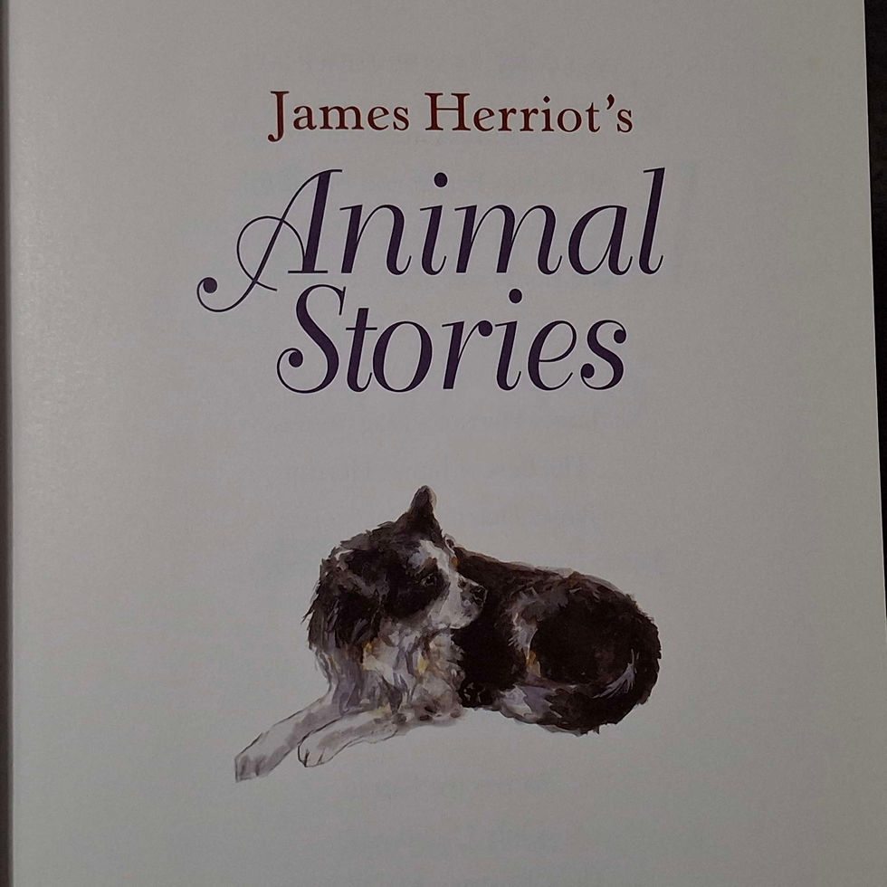 Thumbnail: James Herriot's Animal Stories 1997 First Edition