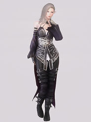 Vampire Leather Armor