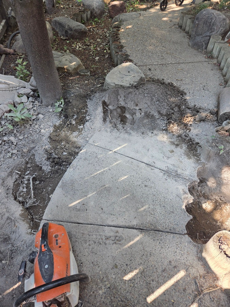 Concrete walkway slab removal with power saw nearby