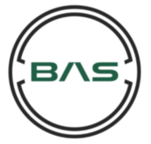 RGB_BAS-Horizontal-Lockup_Green-Black-01_edited_edited.jpg