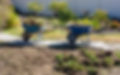 Wheel Barrow Gardening Landscaping