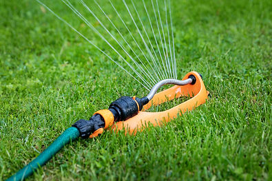 water sprinkler working in green grass at home backyard