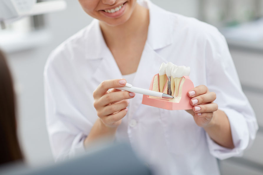 Closeup of smiling female dentist holding tooth model while consulting patient in clinic