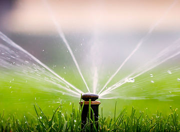 automatic sprinkler system watering the lawn on a background