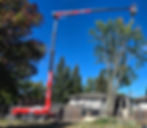 A red crane hoists a tree in a yard, highlighting the use of equipment for landscaping and tree remo