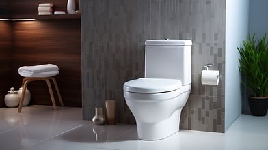 Bathroom toilet