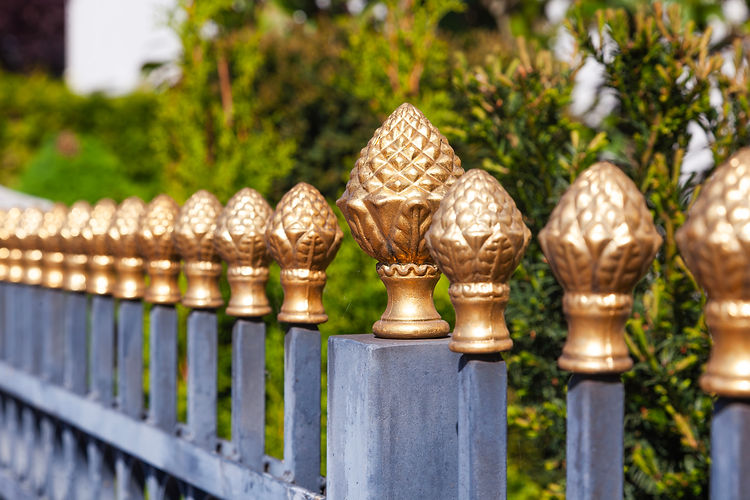 decorative fence with golden acorn-shaped finials on metal posts