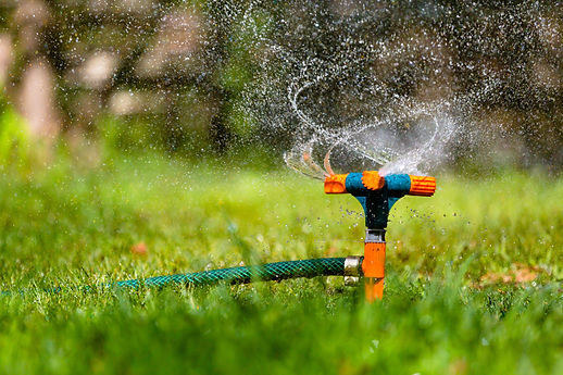 Garden sprinkler watering grass