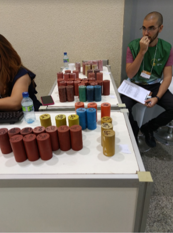 Concurso COCAR 2019