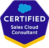 Certified Salesforce Sales Cloud Consultant