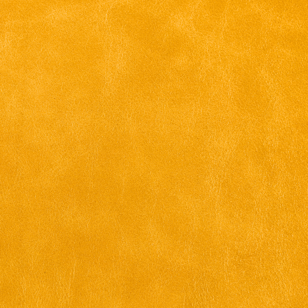 Chatsworth | Old English Leather Daffodil