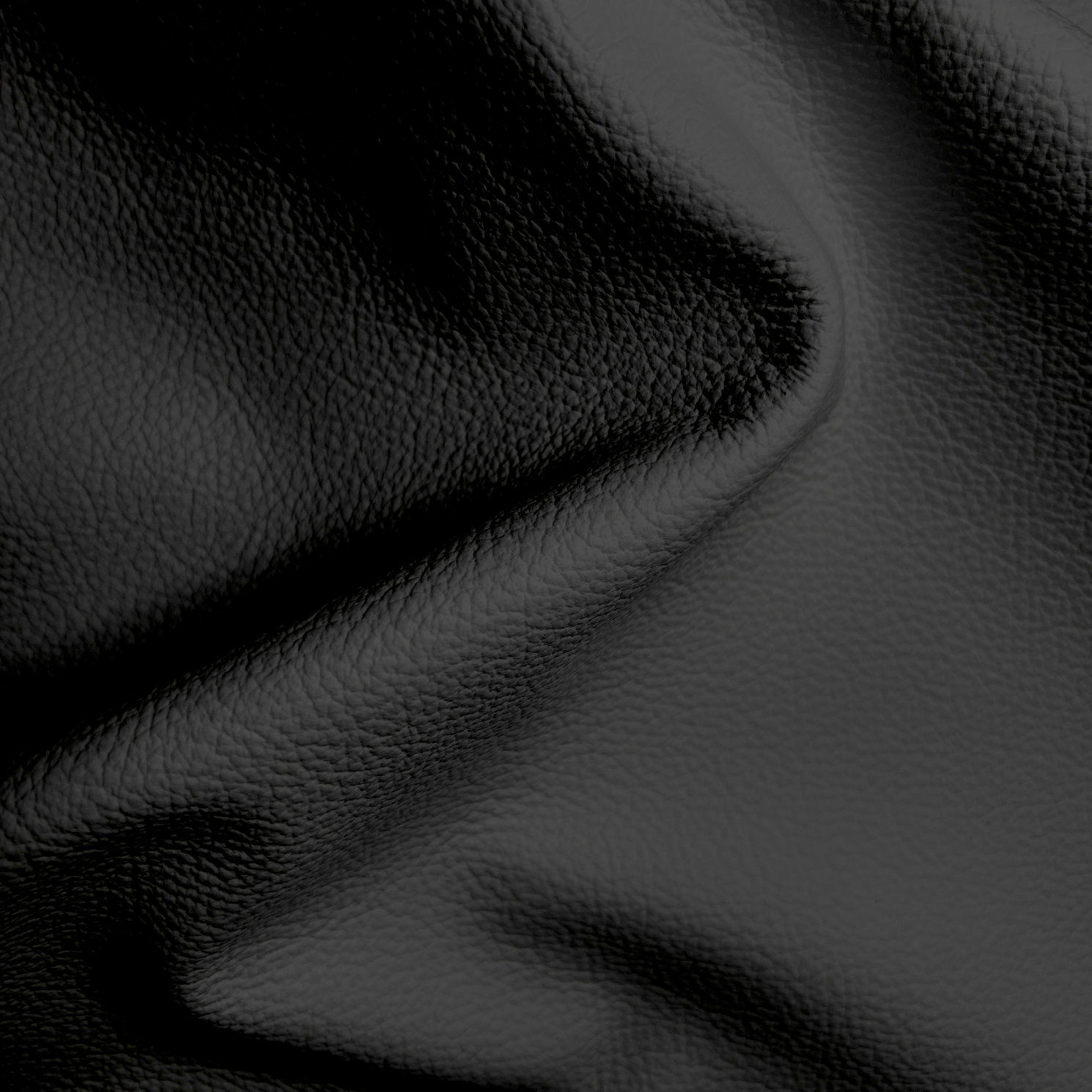 Deluxe | Birch Leather Black