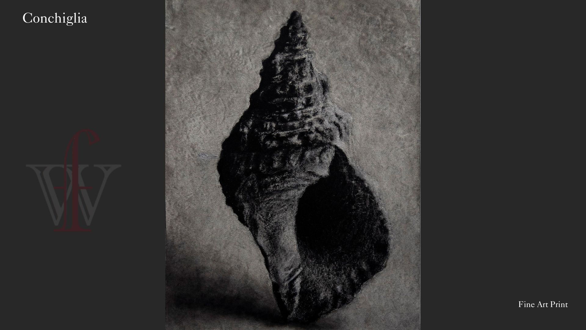 Conchiglia - Fine Art Print