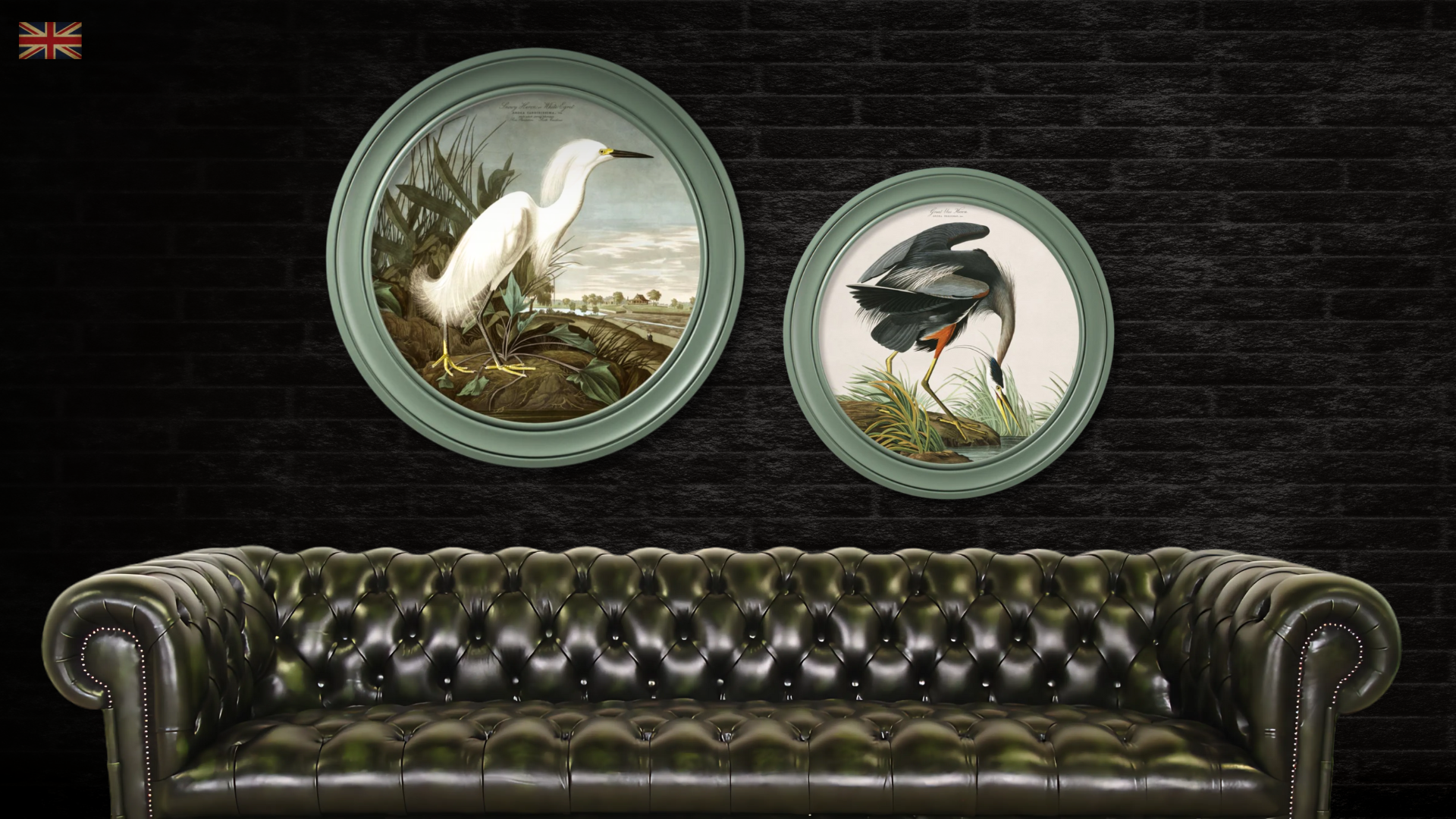 Audubon's Herons Wall Art pictures