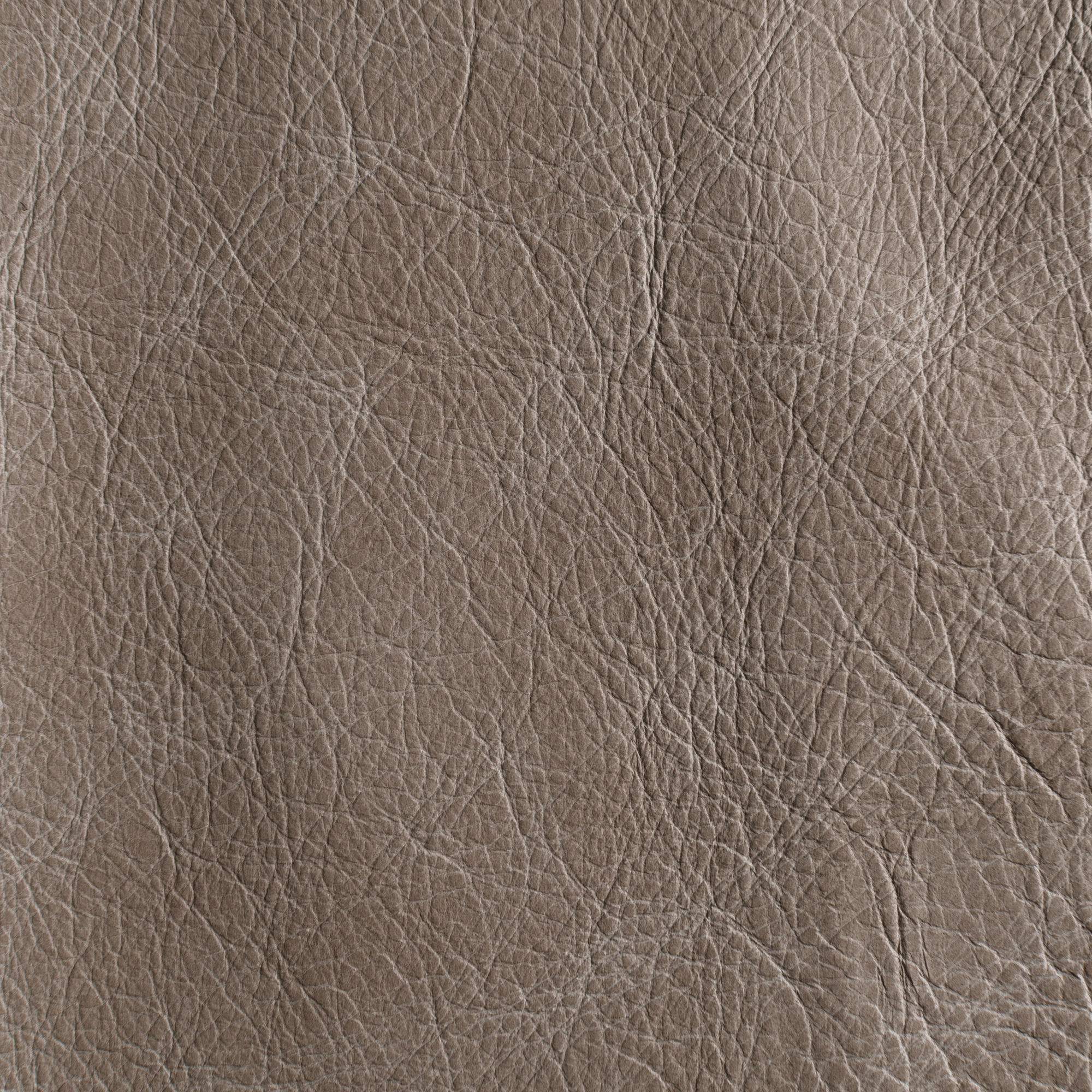 Chatsworth | Apache Biscuit