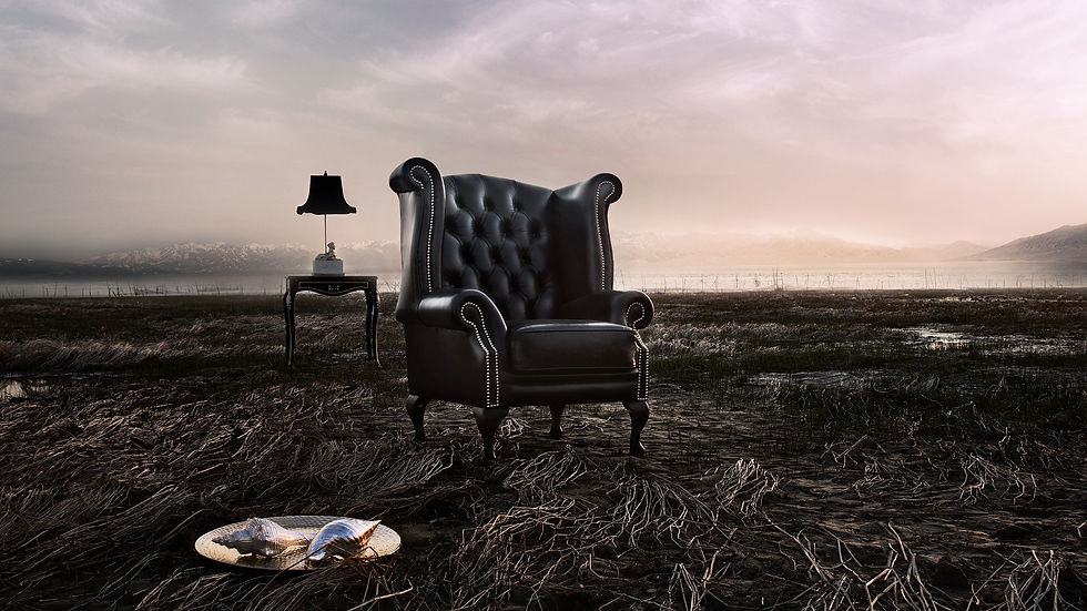 Eye-level view of a luxury high back chair in a cozy living room
