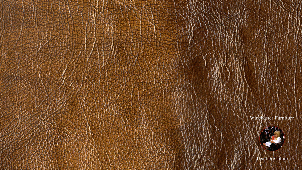 Antique Leather