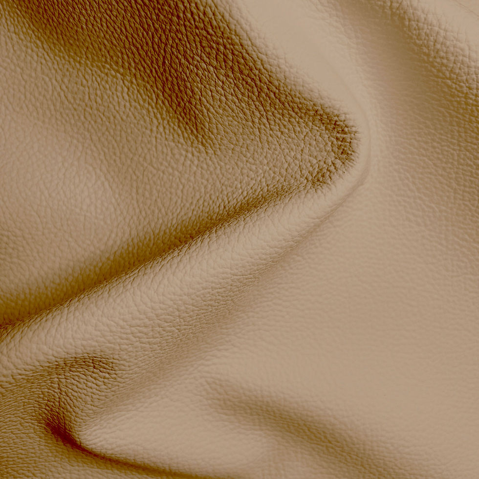 Deluxe | Birch Leather Biscuit