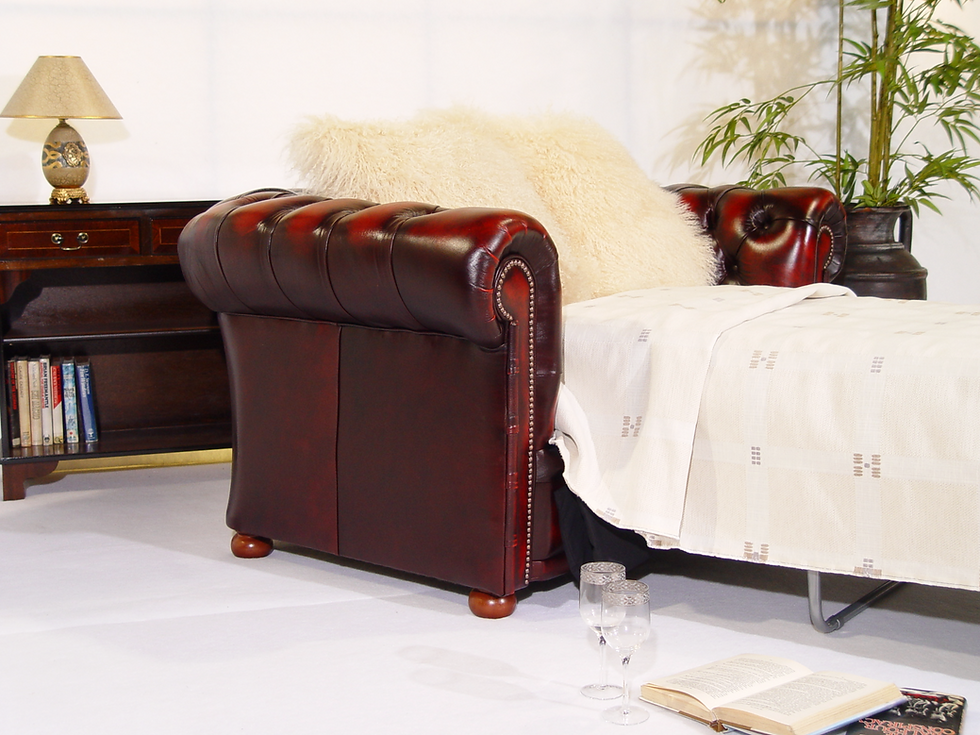 Chelsea Sofa Bed