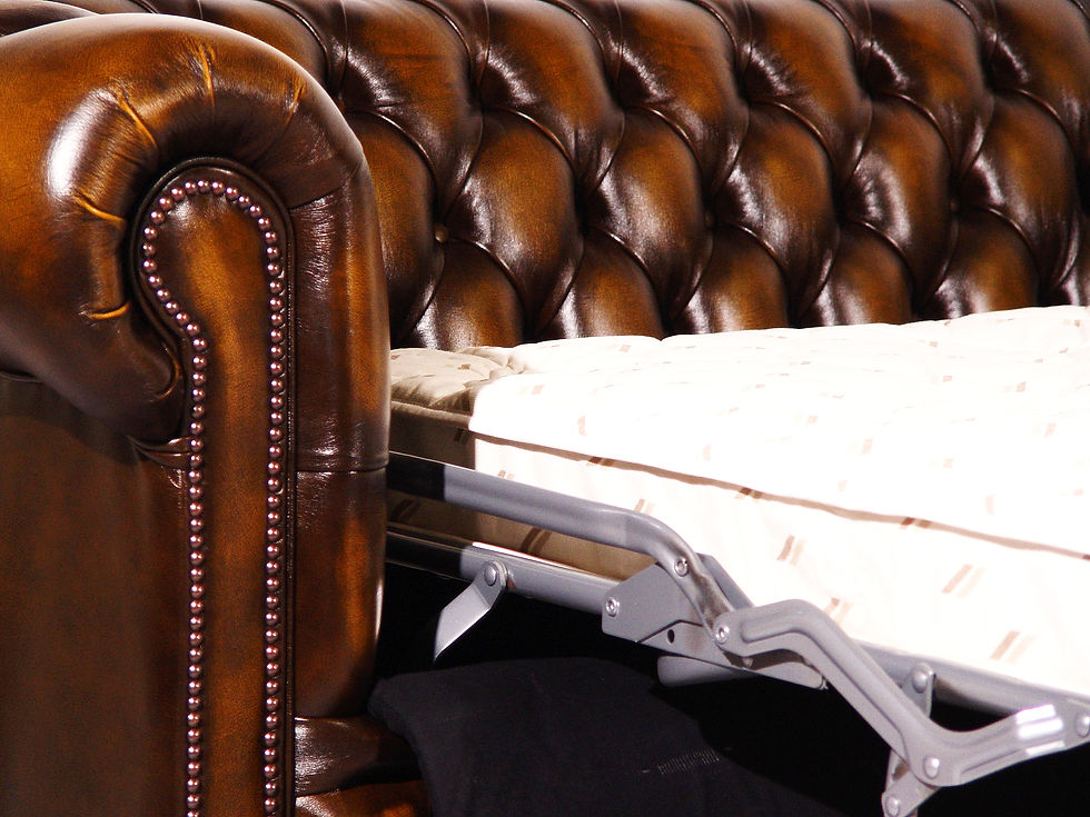 Coventry Sofa Bed
